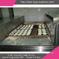 Manufacturer Supply High Quality Bakery Sterilizing & Drying Tunnel Oven